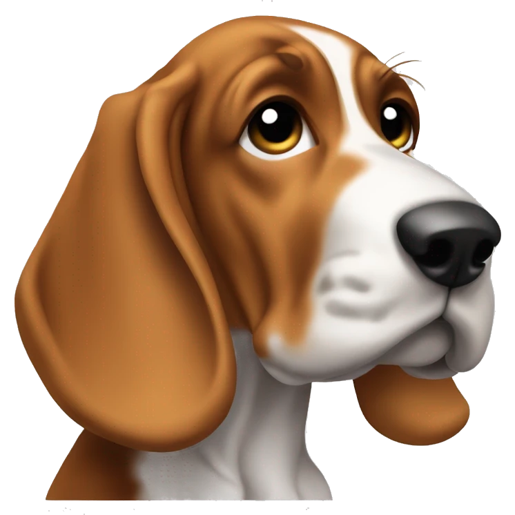 frontend development with basset hound puppy  emoji