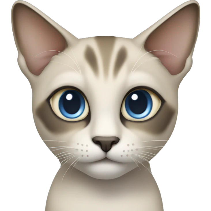 Thai breed adult cat with a light cream-brown body, dark gray nose and face, ears, and paws. sharp ears, and striking light blue eyes  emoji