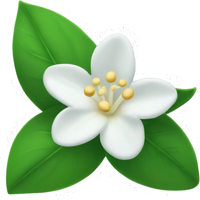 Jasmine flower emoji