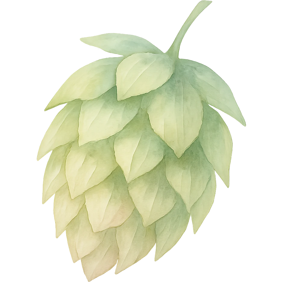 watercolor style hop flower, soft colors, no background emoji