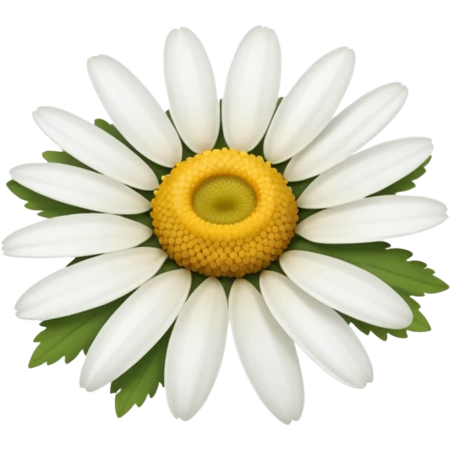 Chamomile emoji emoji