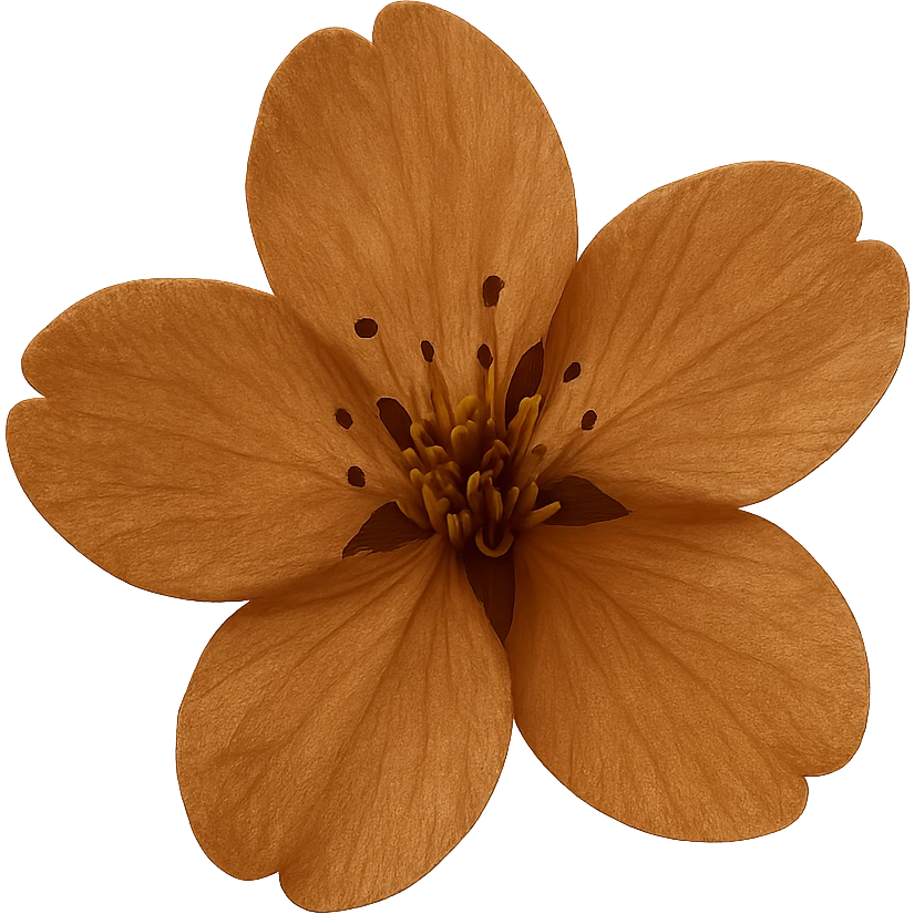 show  one brown cherry blossom without a stem , remove background emoji