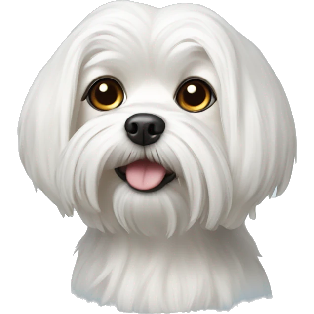 Realistic Maltese dog  emoji