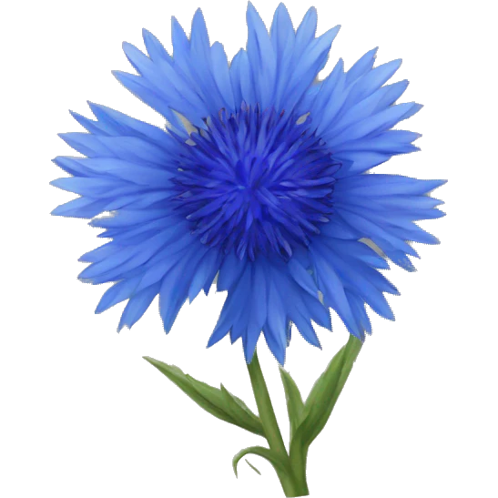 big blue cornflower emoji
