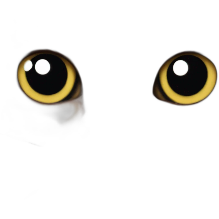 a photo of a cat emoji