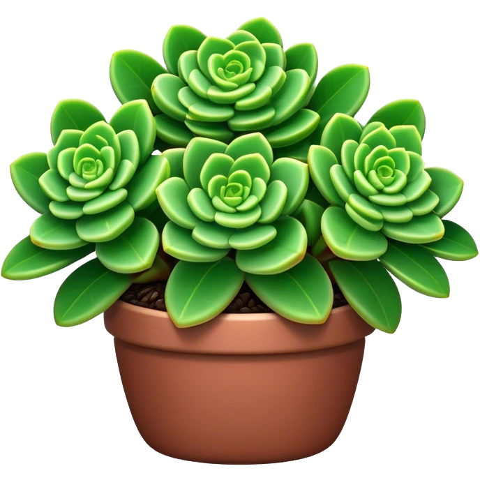 Cinematic Realistic Crassula Emoji, Compact and vibrant, with small, fleshy leaves arranged in thick, rounded clusters. The deep green hue of the leaves radiates calm, while their structured growth speaks of endurance. Soft glowing outline, capturing the essence of perseverance and tranquility in a crassula plant! emoji