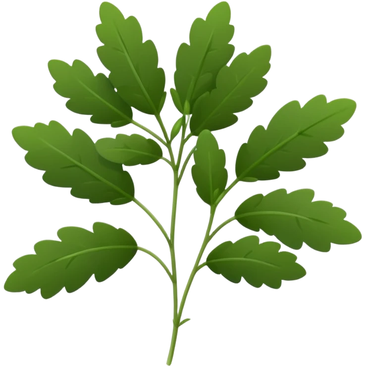 small sprig of fresh thyme with thin green stems and clusters of tiny oval deep green leaves, delicate texture, slightly woody base, dense evenly spaced leaves, soft lighting, subtle shadows, emoji scale emoji