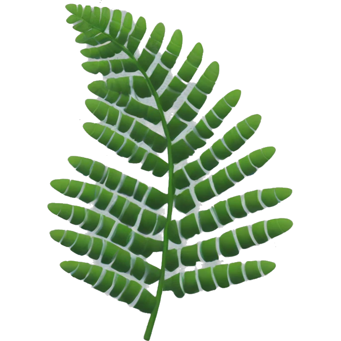silver fern emoji