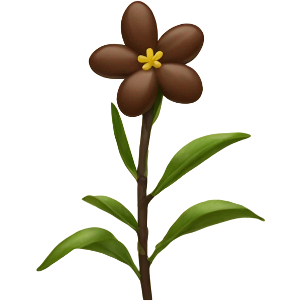 brown vanilla bean with flower emoji