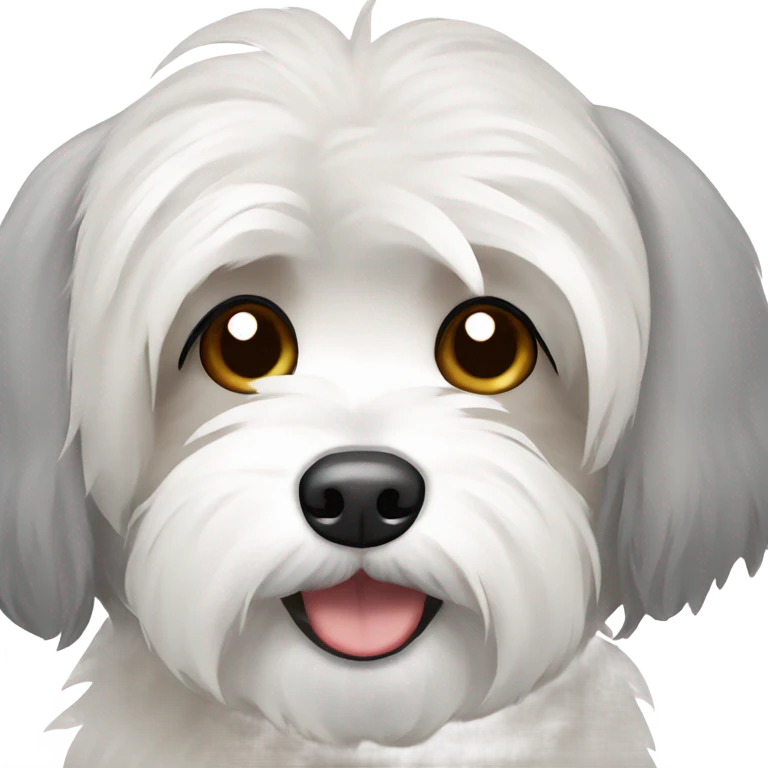Havanese dog with grey ears and white body emoji