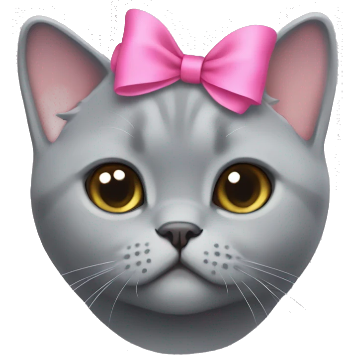Grey british shorthair cute with a pink bow on her head emoji
