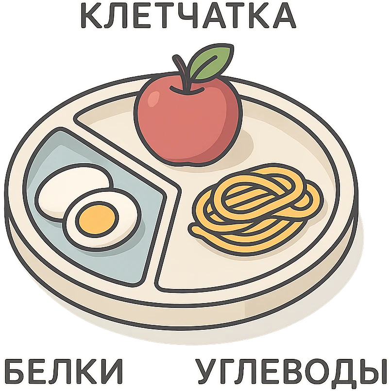 Гарвардская тарелка с тремя секциями, 2d-isometric стиль, с тенями и бликами, контурное изображение яйца (белки), яблока (клетчатка), макарон (углеводы), каждый раздел подписан по-русски: белки, углеводы, клетчатка, без руки, чистый фон emoji