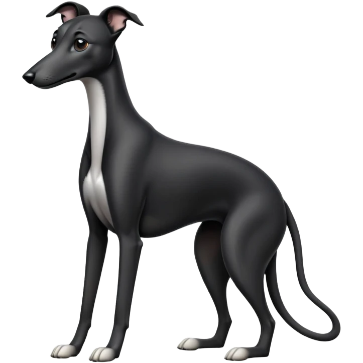 cinematic-[black greyhound]-realistic-full-body-sitting-emoji,-tail-resting-loosely-beside-its-paws,-head-tilted-dramatically, ears drooped, -sleek-[black]-fur,-simplified-yet-realistic-focused-features,-highly-detailed,-glowing-with-an-almost-sarcastic-glow emoji