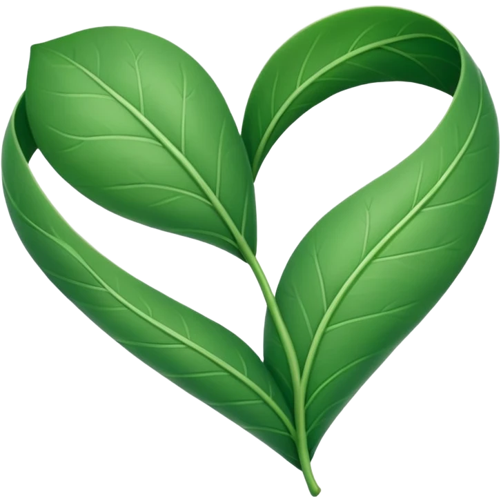  "A minimalist, stylized heart-shaped green leaf with a gentle, curved white bandage or ribbon wrapped around the center. The design should look warm and nurturing. Flat, clean emoji style for natural healing. Transparent background." emoji