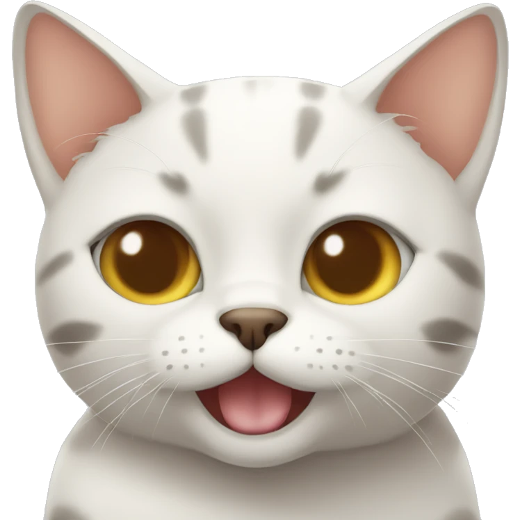 cat winking emoji