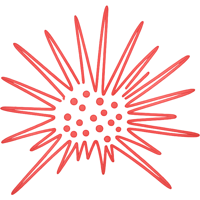 Match the sea urchin illustration in the logo, keep the hand-drawn style and arrangement, but make all lines bright red, no text, transparent background. emoji