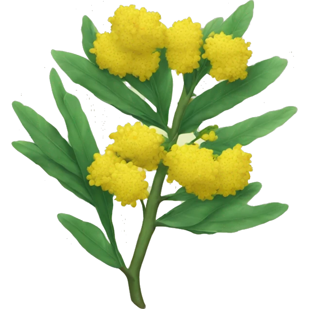 wattle  emoji