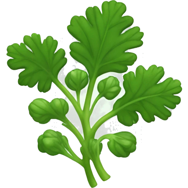Cilantro emoji
