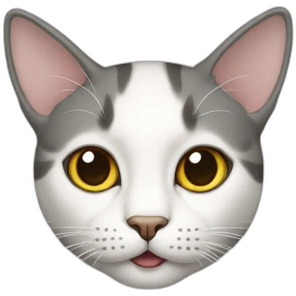 cat white emoji