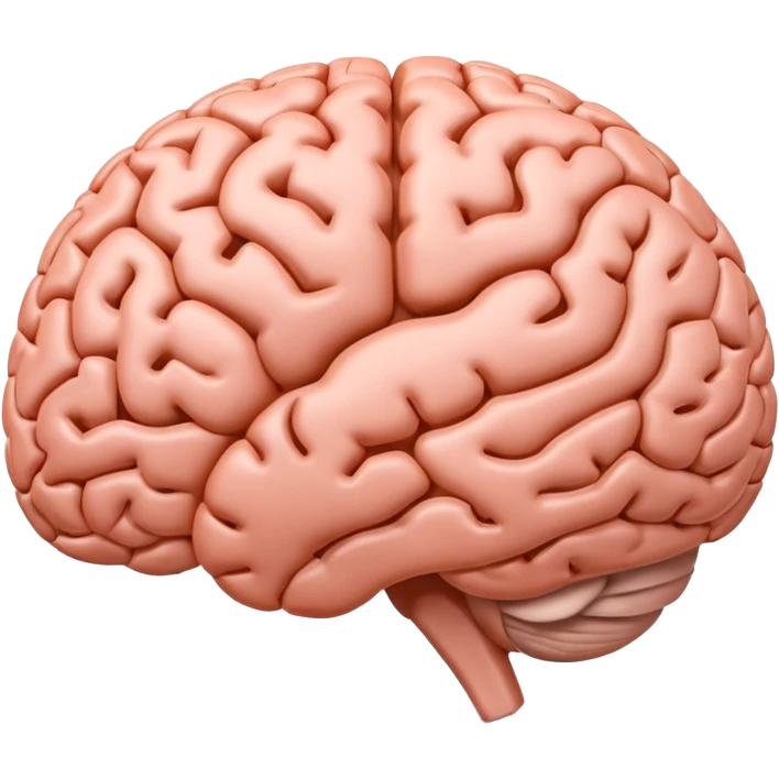 "Realistic 3D human brain emoji, detailed neural folds, soft reflections, glossy texture, subtle shadows, rounded friendly emoji shape, high resolution, transparent background" emoji