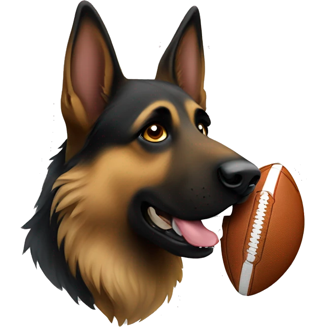 dark long hair german shepherd holding a football in his mouth emoji