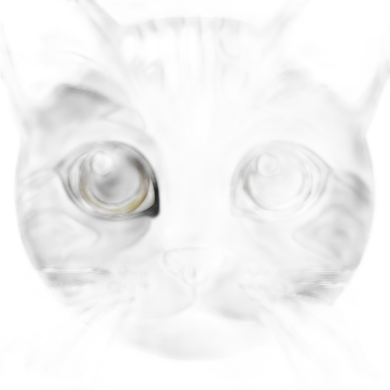 Gray cat with a little black emoji