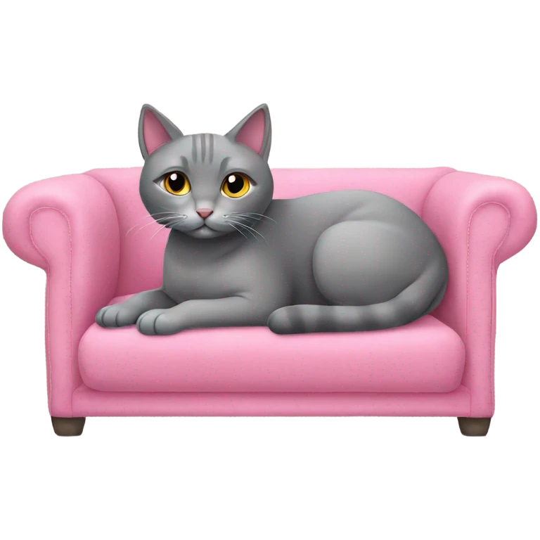 grey cat sitting on a pink couch emoji