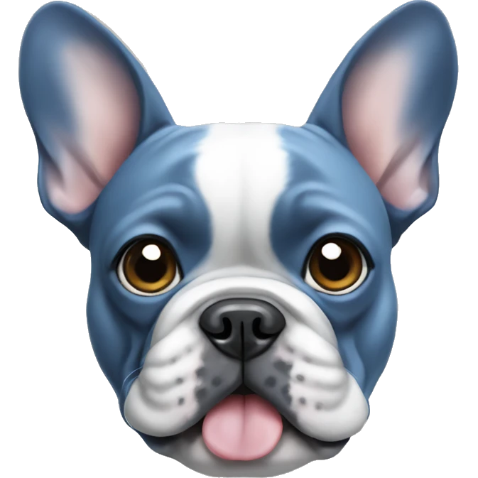 Blue French bulldog  emoji
