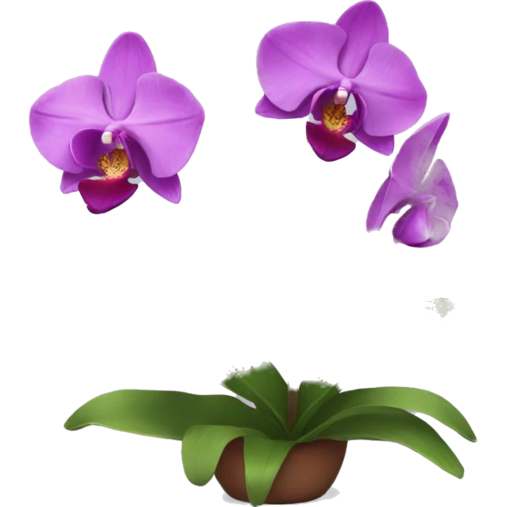orchid emoji