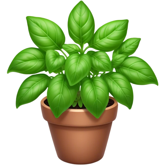 Cinematic Realistic Basil Emoji, Lush and fragrant, with vibrant green leaves that release a fresh, herbal aroma. The soft, glossy leaves are delicately arranged along slender stems, exuding vitality and flavor. Soft glowing outline, capturing the essence of freshness, growth, and aromatic delight in a blossoming basil plant! emoji
