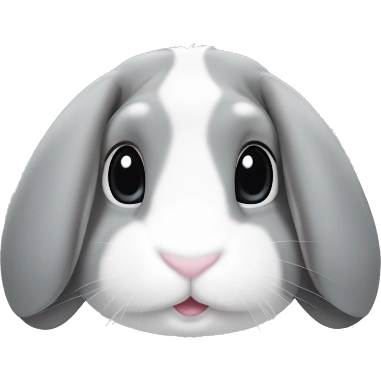 Mini lop eared rabbit, grey, with a white patch on nose and a white stripe on the top of the head emoji