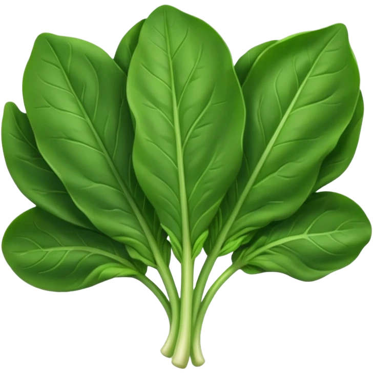 Spinat gemüse emoji