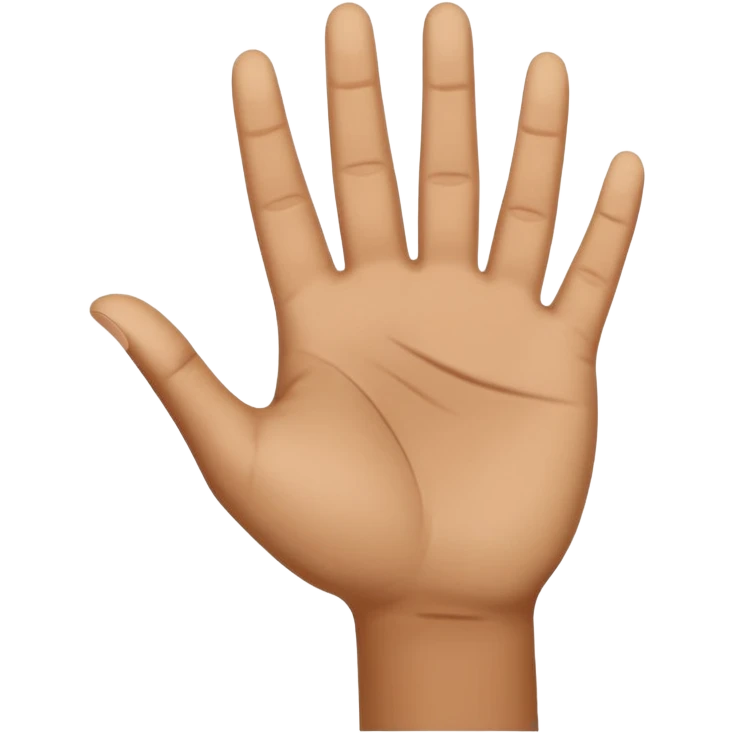a .5 veiw of a person with their hand out in front of them facing palm up, and their other hand facing sideways, resting in the first hand to make a T shape. this mimics the hand motion for the slang term “boi” emoji