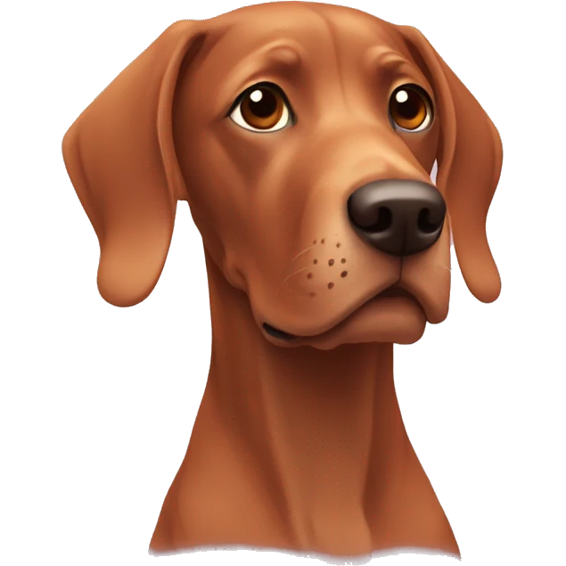 viszla wellness emoji
