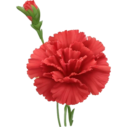 red head Carnation flower emoji
