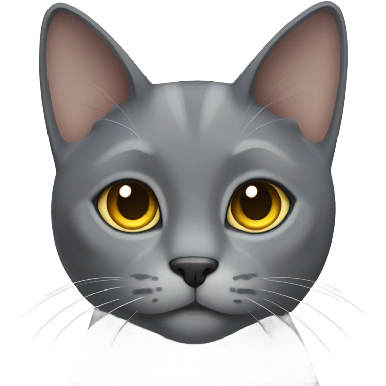 cat grey emoji