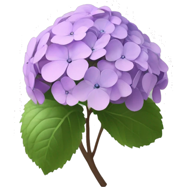 generate slack emoji image for "Hydrangea macrophylla" with larger fetal emoji