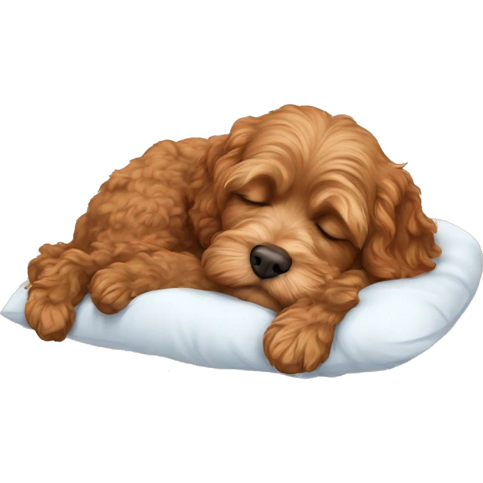 brown cavapoo sleeping emoji