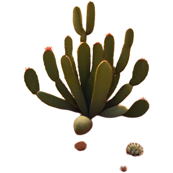 Cinematic Realistic Desert Emoji, Expansive and arid, with vast stretches of golden sand dunes and scattered cacti, the sun casting a warm, almost orange glow over the dry, cracked earth. The horizon blurs into a heat shimmer, while the occasional desert flower adds a splash of color to the barren landscape. Soft glowing outline, capturing the essence of the harsh yet stunning beauty of the desert, calm and quiet, filled with silence and mystery. emoji