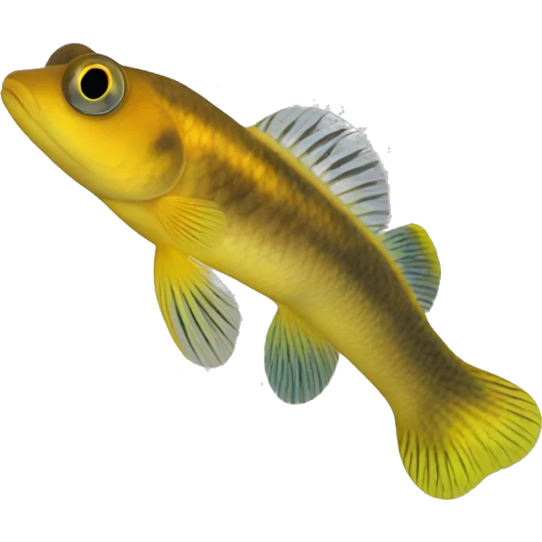 River Goby, Yellow River Goby (Eng.), Gobio de Río  emoji