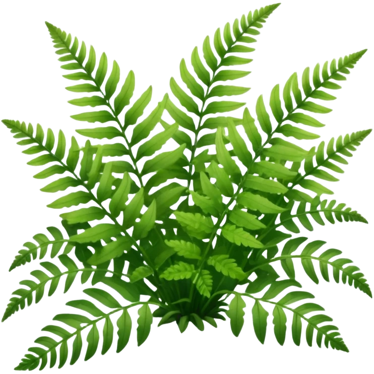 A cluster of soft green ferns growing under shaded trees.









































 emoji
