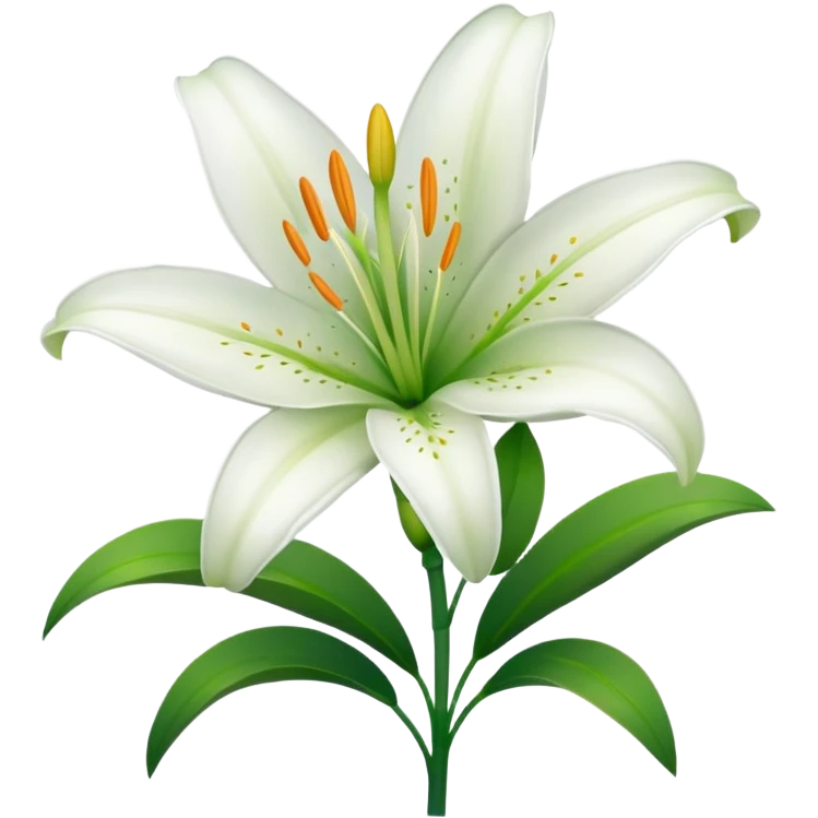 White lily emoji