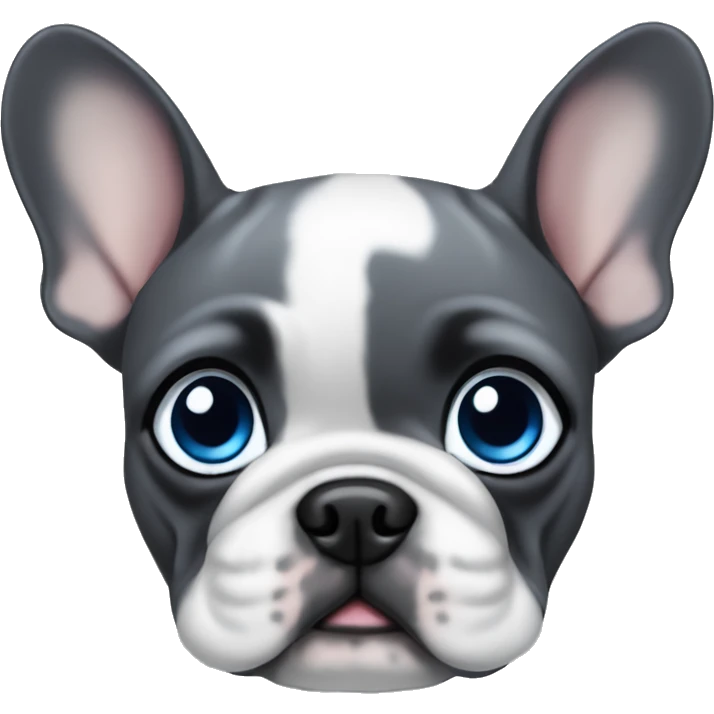 Dark Gray French Bulldog puppy with blue eyes emoji