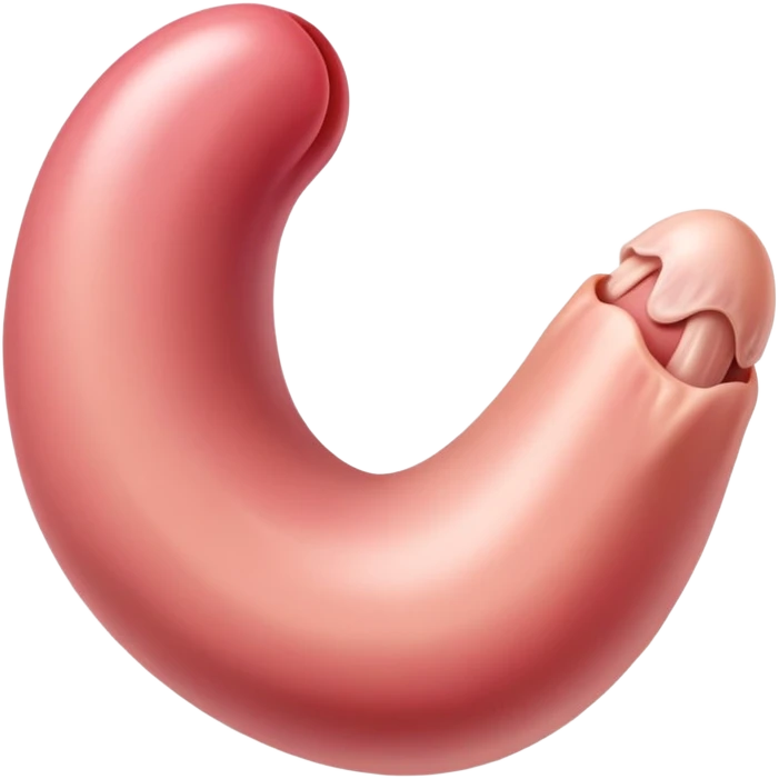 Penis and vagina emoji