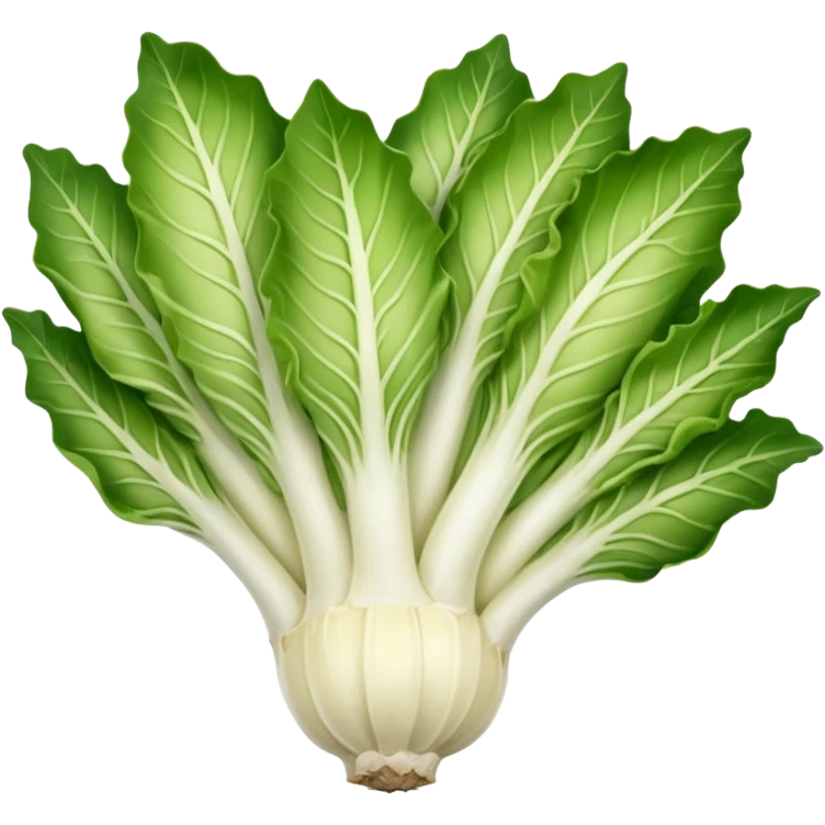 green blegian endive radicchio smooth emoji
