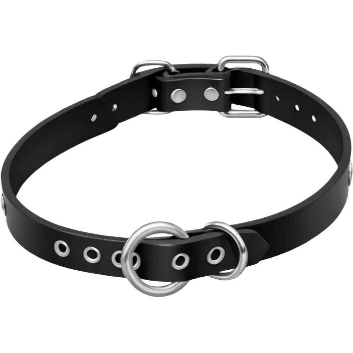 Collar – black leather with silver O-ring. emoji
