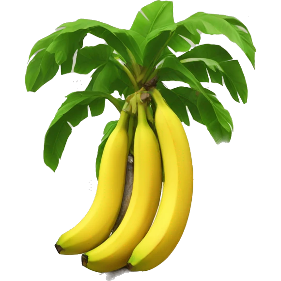 Banana tree emoji