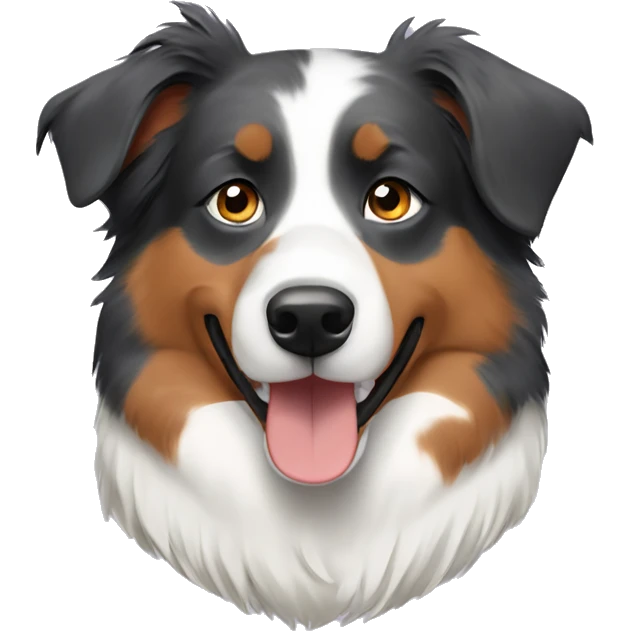 Australian Shepherd wearing a collar emoji