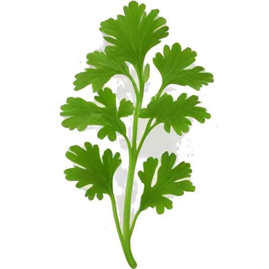Coriander emoji