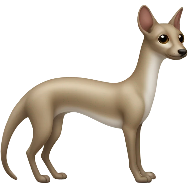 Ferret emoji